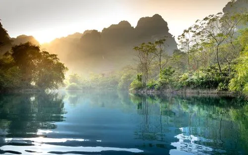 绿色绿色智慧